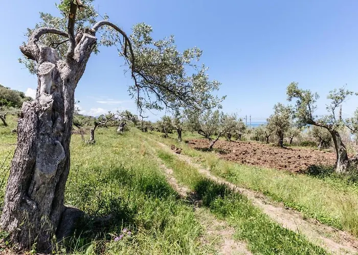 Villa Lorenza Private